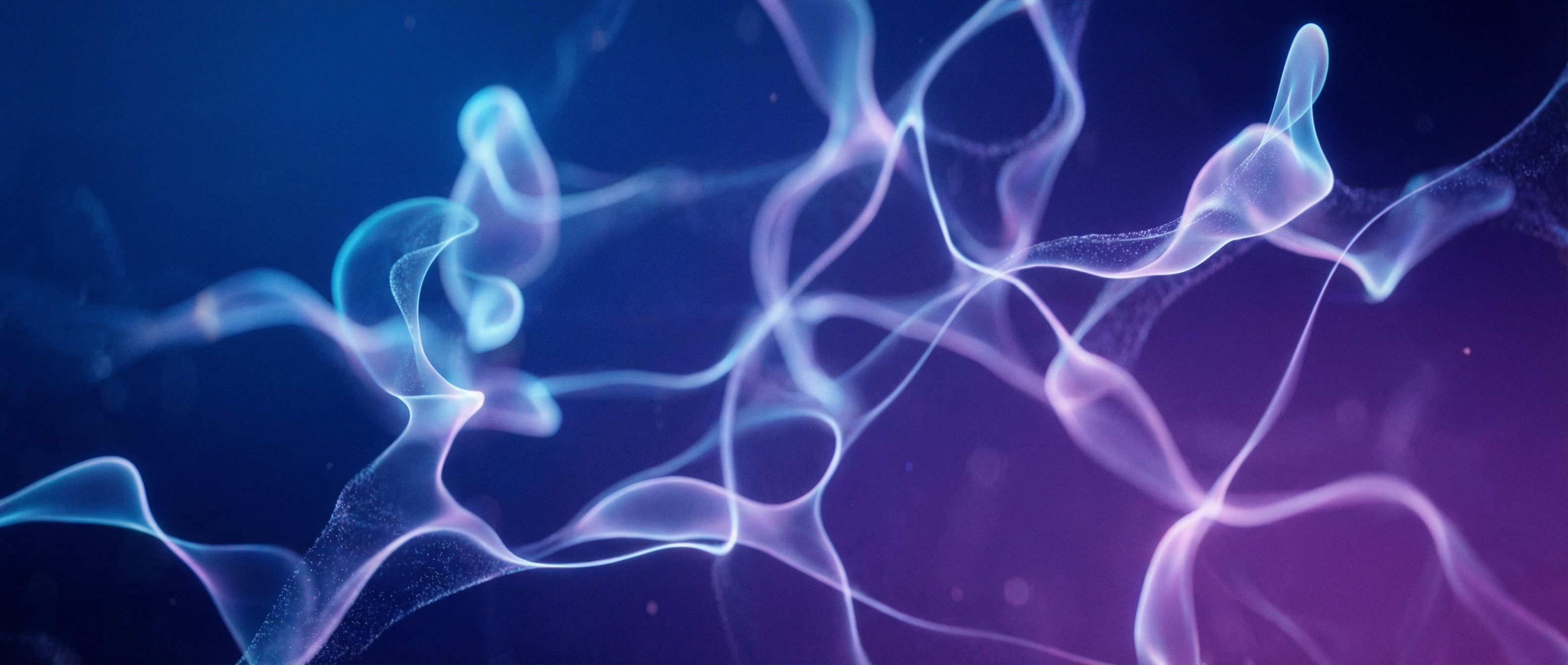 ยินดีต้อนรับสู่ JPM Interactive